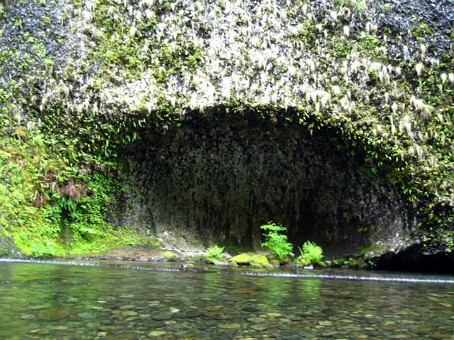 Eagle Creek-126.JPG - Below Punch Bowl Falls